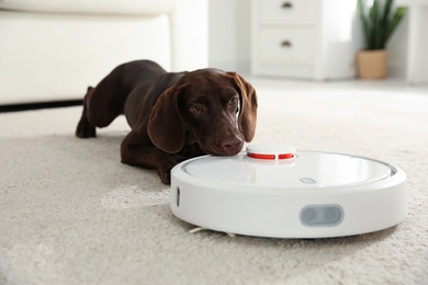 Photo of Modern robotic vacuum cleaner and German Shorthaired Pointer dog on floor indoors