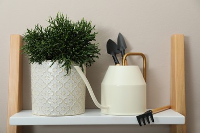 Photo of Beautiful houseplant and gardening tools on shelf near beige wall