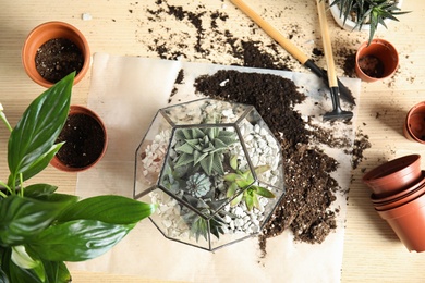 Photo of Flat lay composition with home plants and gardening tools on wooden background