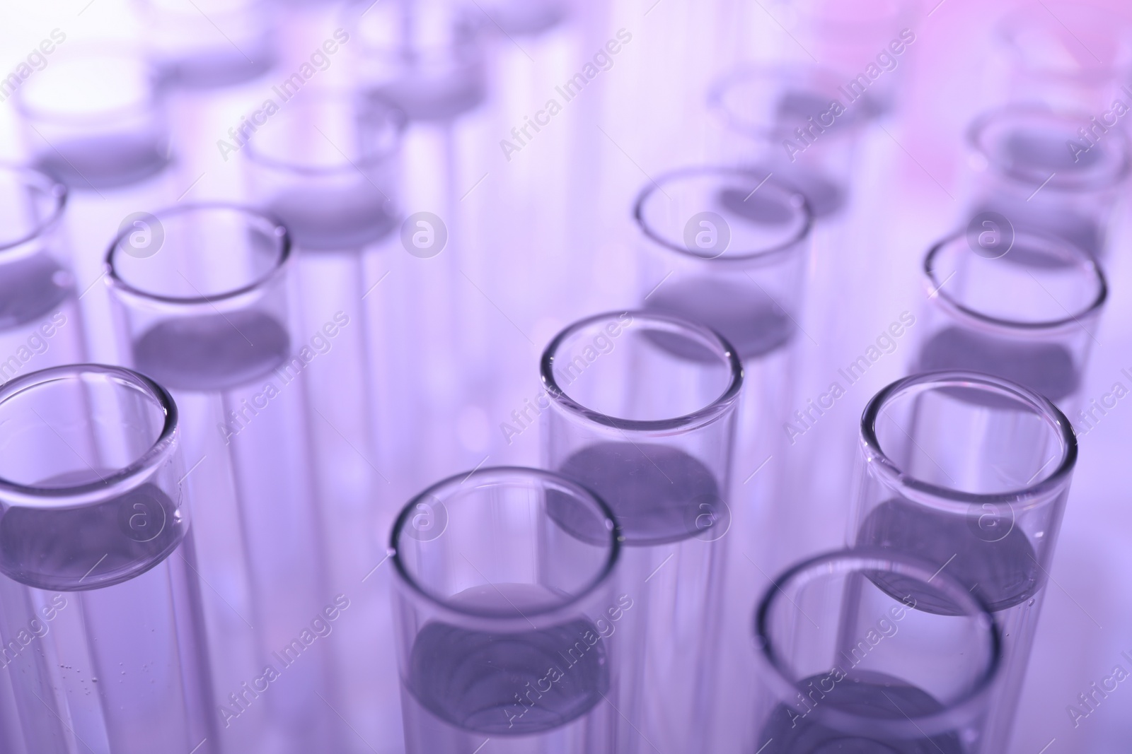 Photo of Many glass test tubes on violet background, closeup