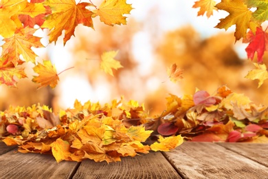 Image of Wooden surface with beautiful autumn leaves on blurred background