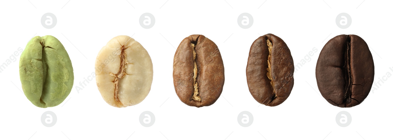 Image of Stages of roasting coffee beans on white background, collage. Banner design