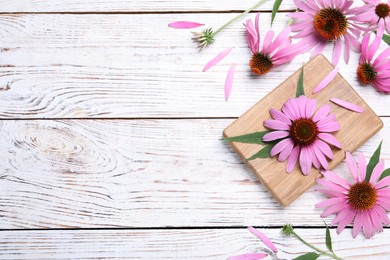 Beautiful echinacea flowers on white wooden table, flat lay. Space for text