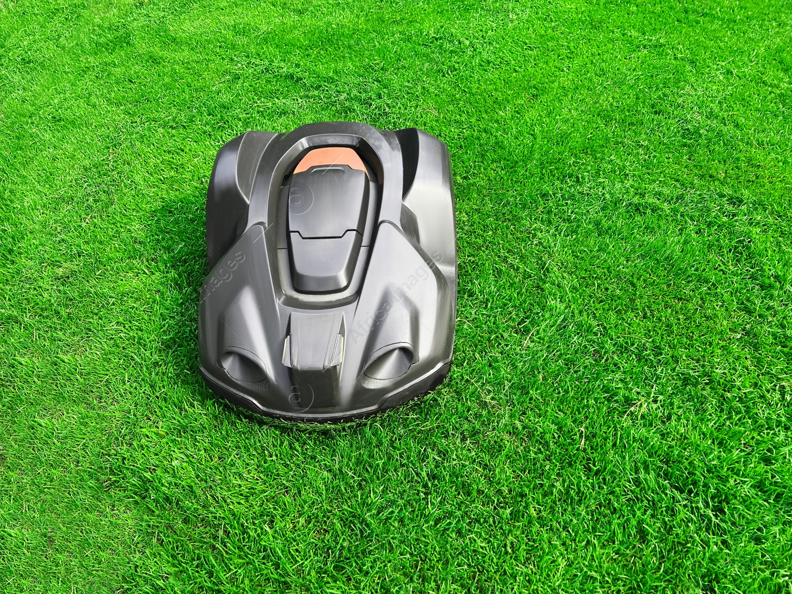 Photo of Modern robot lawn mower on green grass in garden