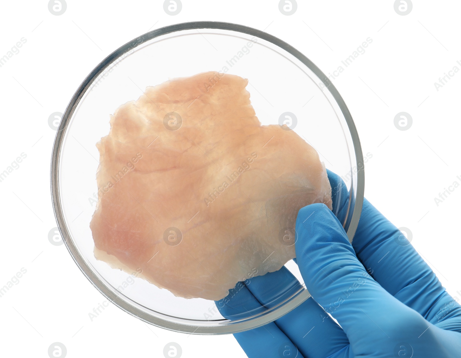 Photo of Scientist holding Petri dish with piece of raw cultured meat on white background, top view