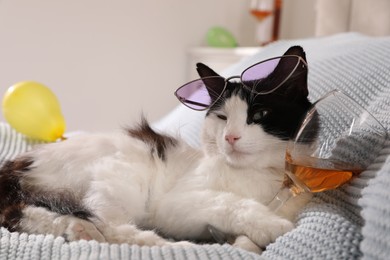 Photo of Cute cat with sunglasses and glass of alcohol on bed at home. After party hangover