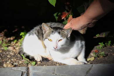 Woman stroking stray cat outdoors, closeup. Homeless animal