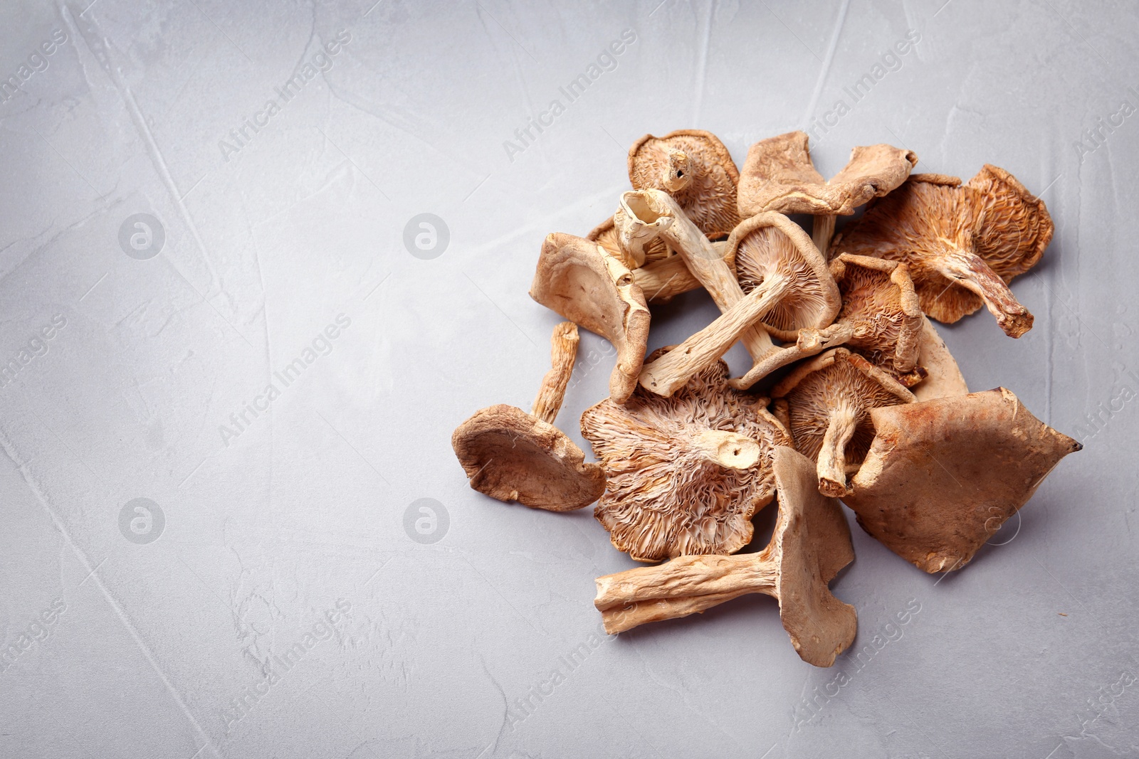 Photo of Dried mushrooms on color background, top view. Space for text