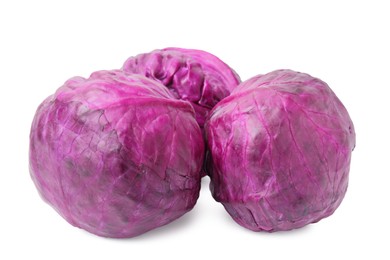 Whole fresh red cabbages isolated on white