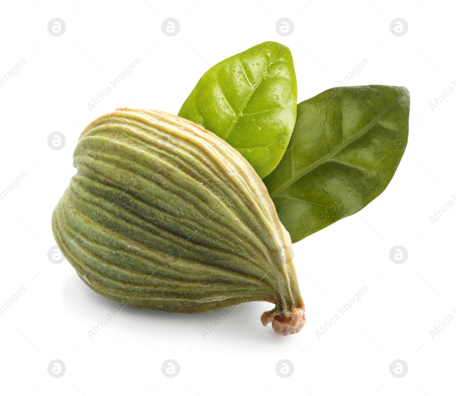 Image of Dry cardamom pod and green leaves on white background