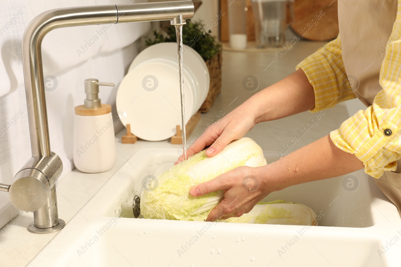 Photo of Woman washing fresh chinese cabbage under tap water in kitchen sink, closeup