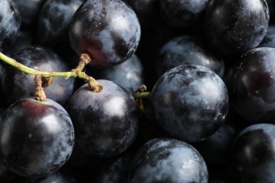 Photo of Fresh ripe juicy black grapes as background, closeup view