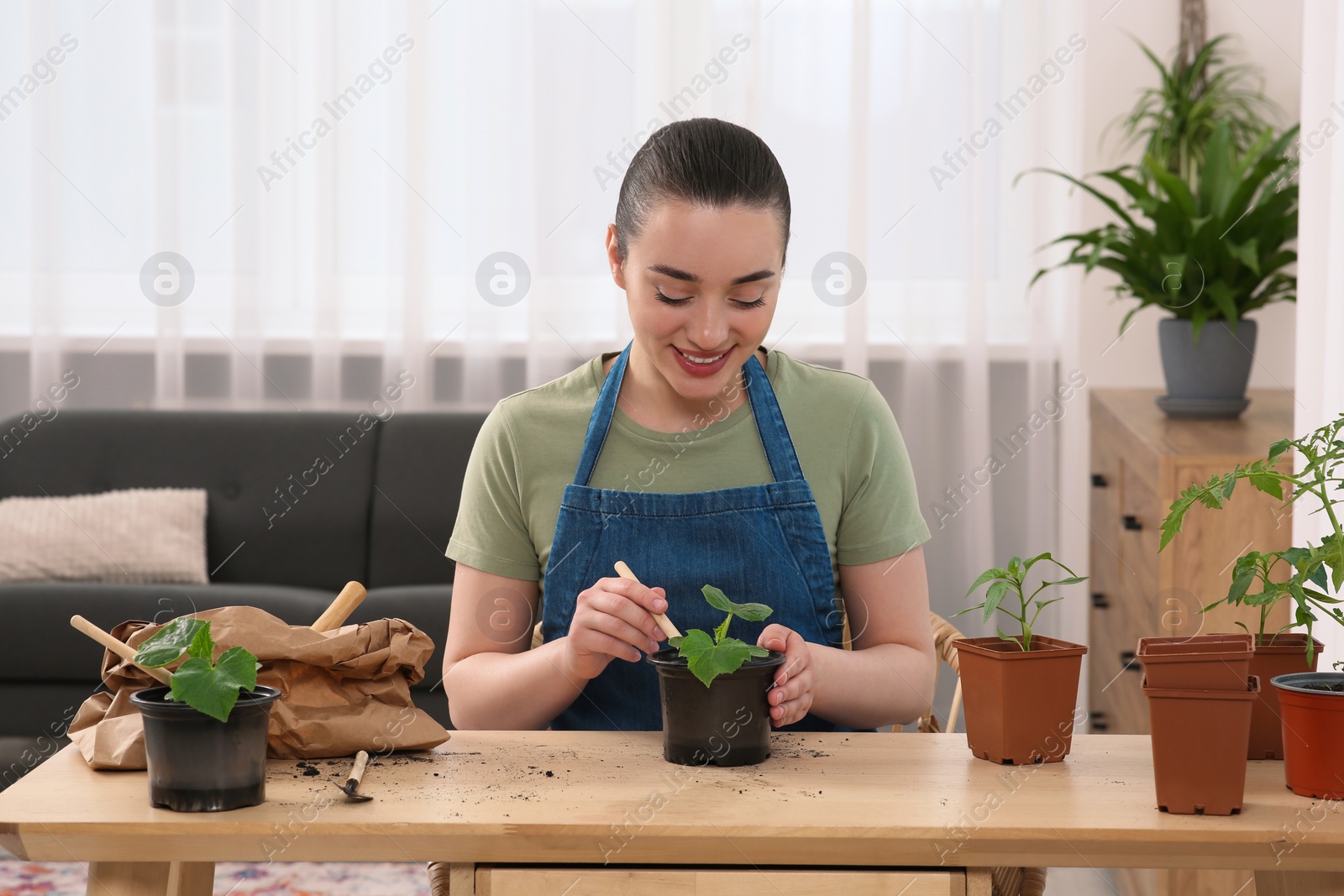 Photo of Happy woman planting seedling into pot at wooden table in room