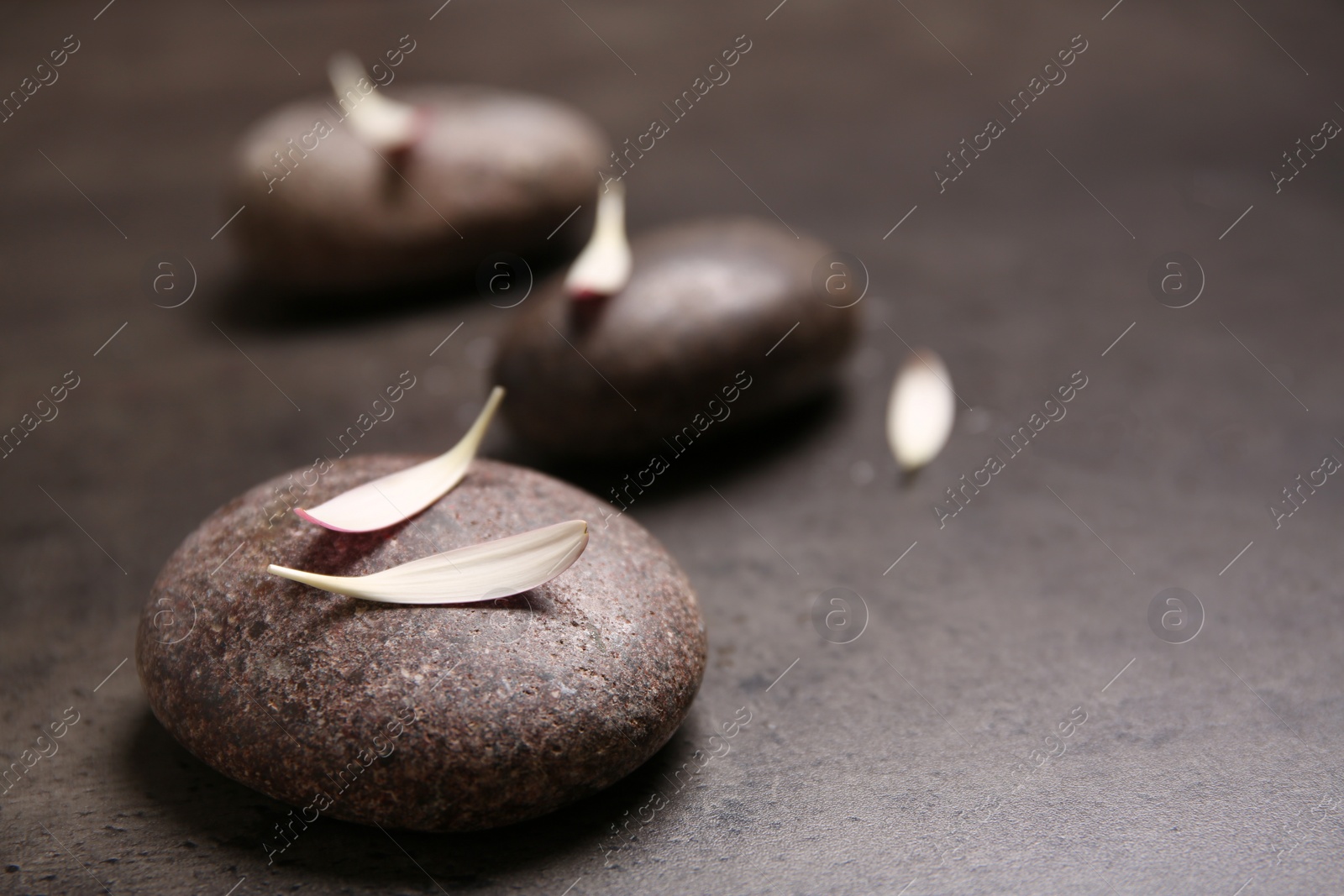 Photo of Spa stones with petals on table. Space for text