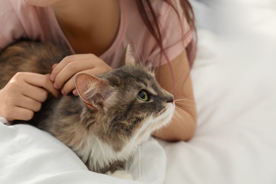 Photo of Cute little girl with cat lying on bed at home, closeup. First pet