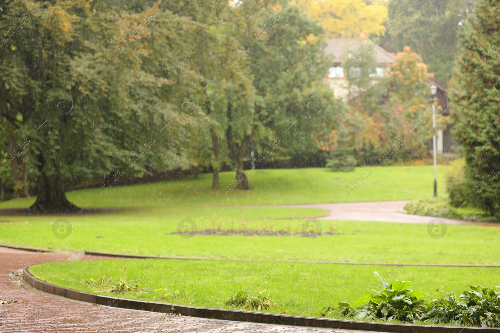 Photo of Beautiful view of park on rainy day