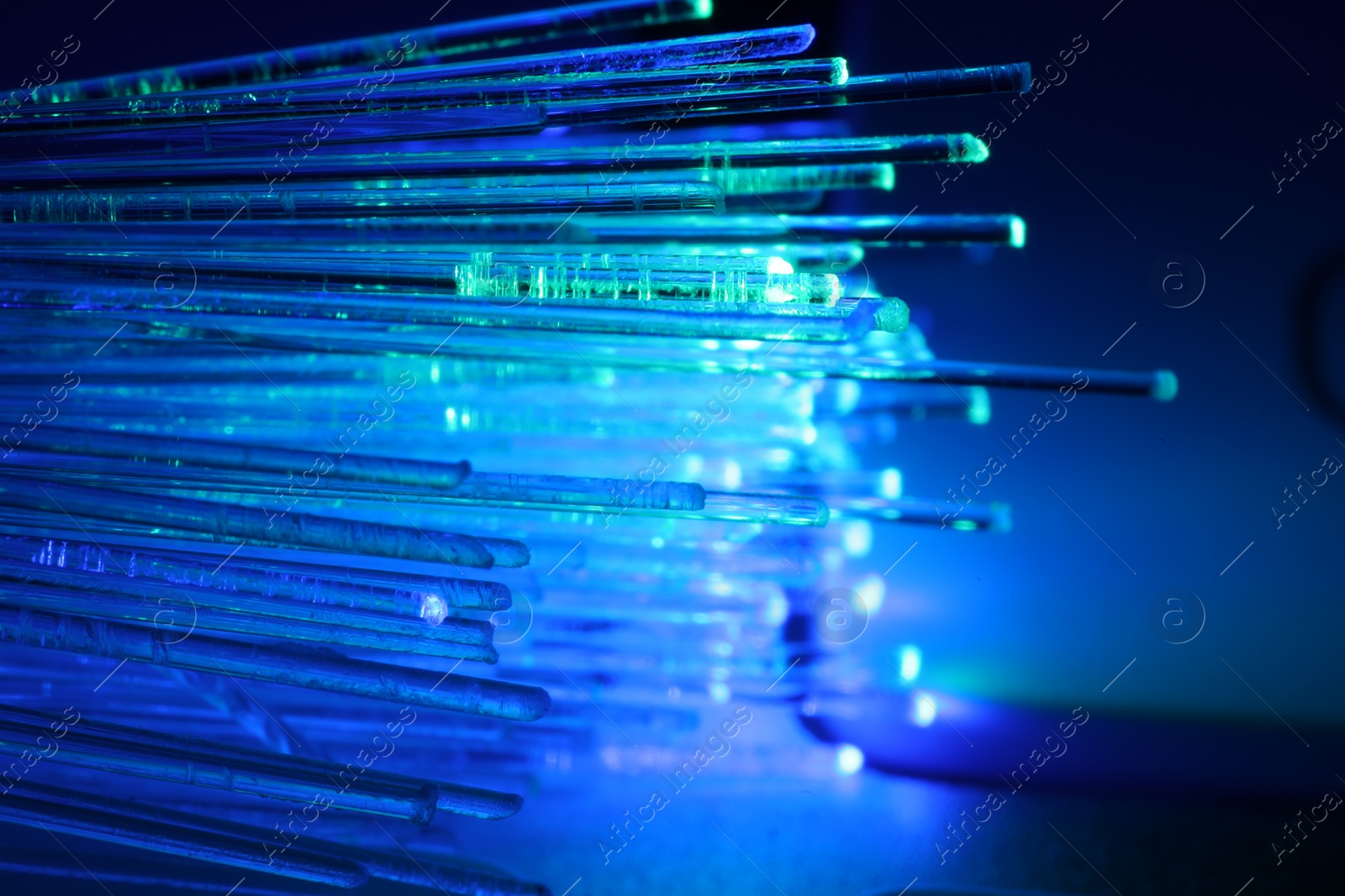 Photo of Optical fiber strands transmitting different color lights against blurred background, macro view