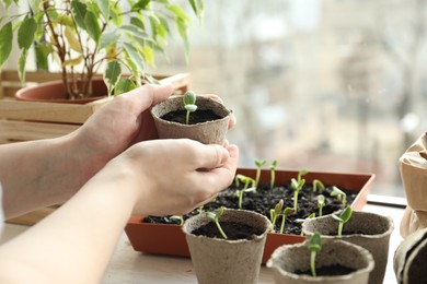 Woman holding pot with seedling indoors, closeup