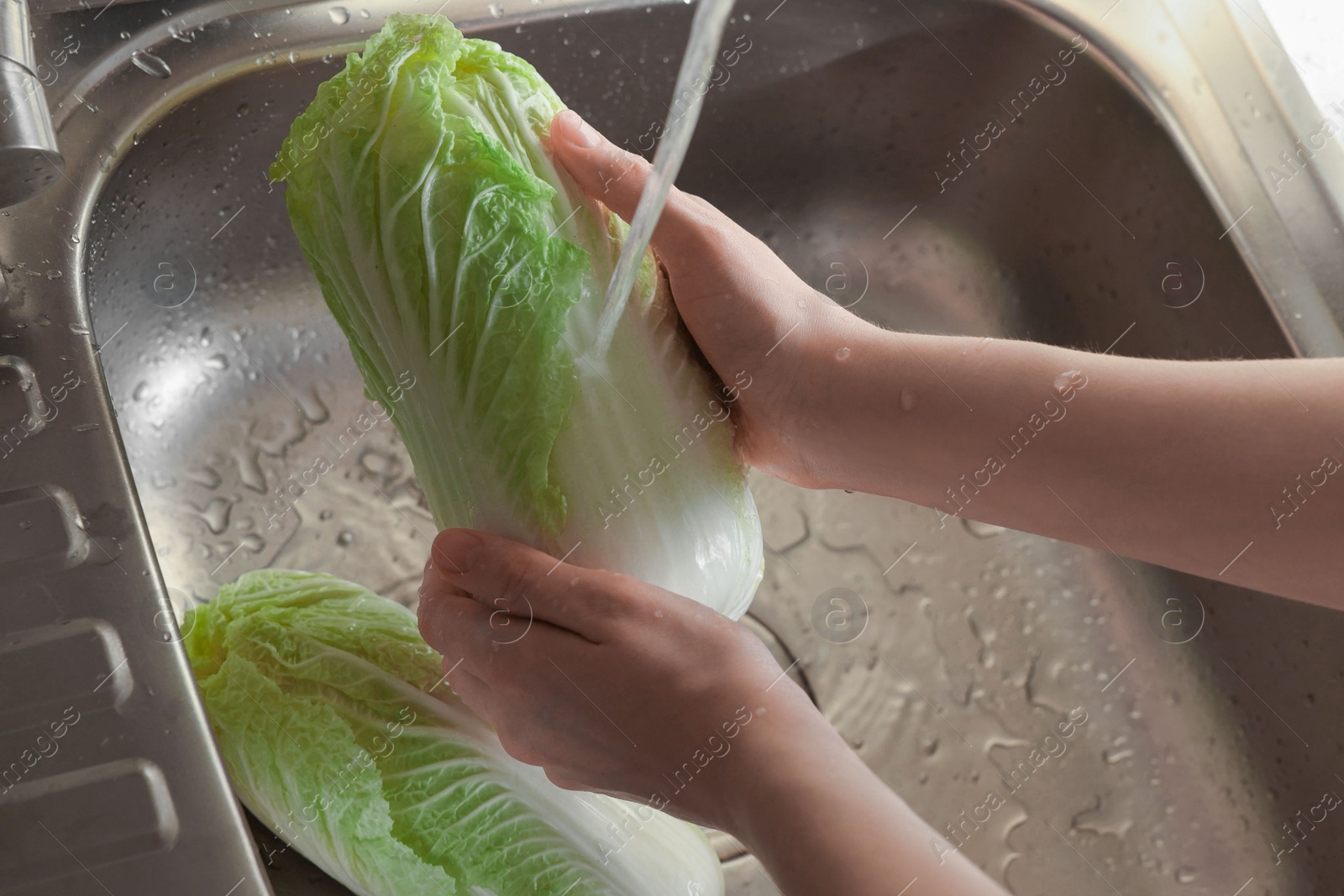 Photo of Woman washing fresh Chinese cabbages in sink, closeup