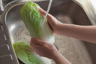 Photo of Woman washing fresh Chinese cabbages in sink, closeup