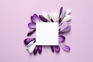 Photo of Beautiful spring crocus flowers and card on color background, flat lay. Space for text