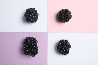 Flat lay composition with ripe blackberries on color background