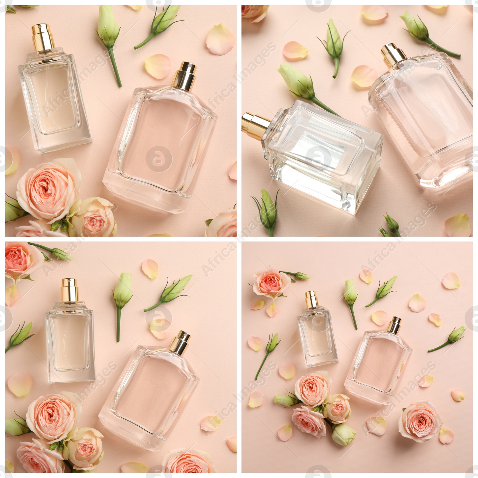 Image of Creative collage with photos of luxury perfume and beautiful flowers on color backgrounds 