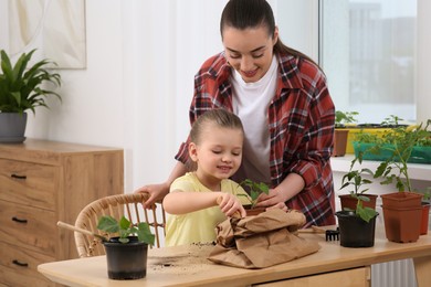 Photo of Mother and daughter planting seedling into pot together at wooden table in room