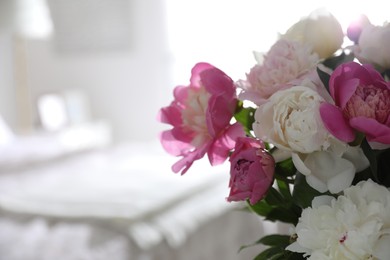Photo of Beautiful blooming peonies against blurred background, closeup. Space for text