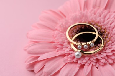 Photo of Elegant pearl rings and gerbera flower on pink background, closeup. Space for text