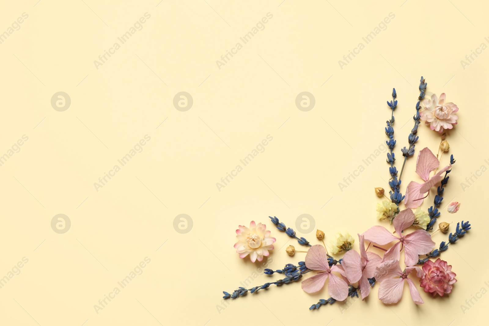 Photo of Flat lay composition with beautiful dried flowers on beige background. Space for text