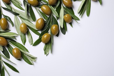 Twigs with olives and fresh green leaves on white background, flat lay. Space for text