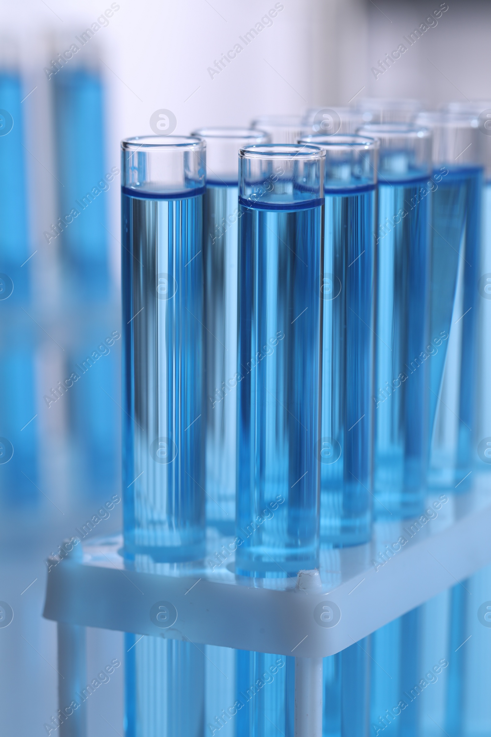 Photo of Test tubes with reagents in rack on blurred background, closeup. Laboratory analysis