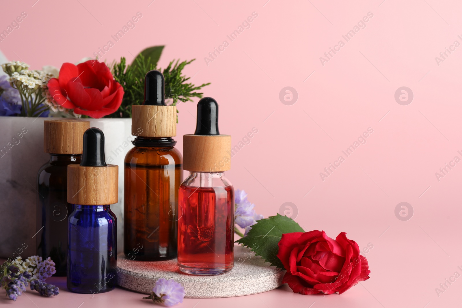 Photo of Aromatherapy. Different essential oils and flowers on pink background