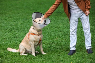 Photo of Man with adorable Labrador Retriever dog in Elizabethan collar on green grass outdoors, closeup