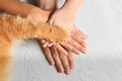Photo of Closeup of family and cat holding hands together on light wooden floor, top view. Space for text