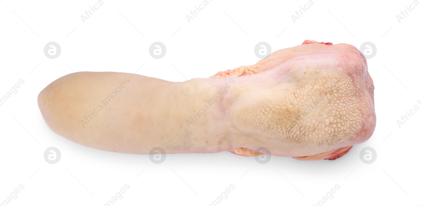 Photo of Raw beef tongue isolated on white, top view