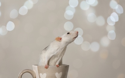Photo of Cute little rat in cup against blurred lights. Chinese New Year symbol