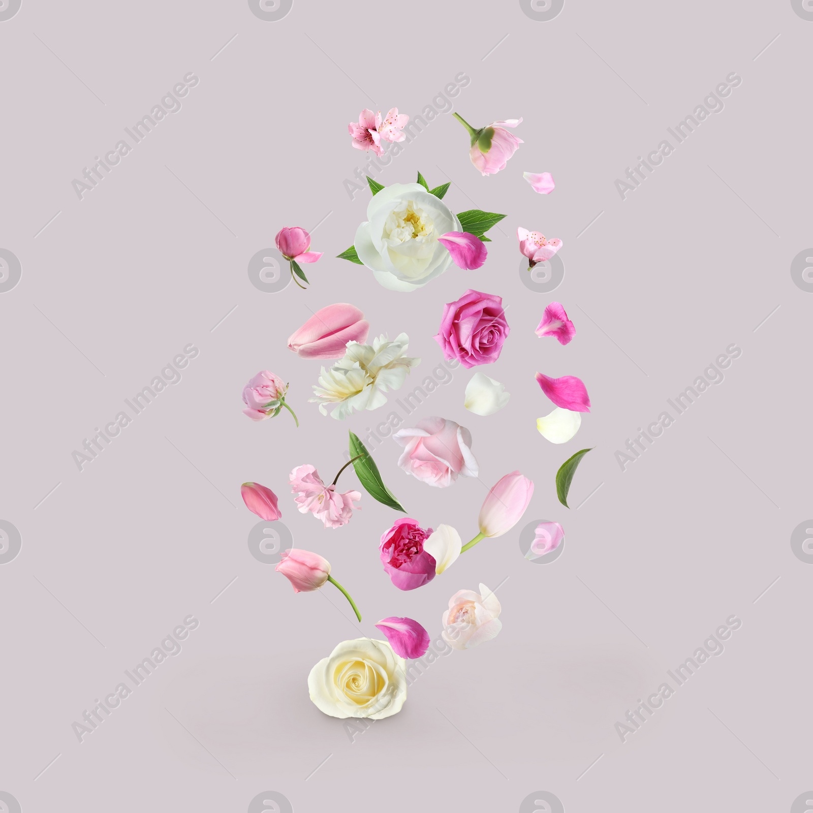 Image of Different beautiful flowers flying on light grey background