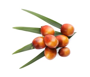 Photo of Fresh ripe oil palm fruits with leaf isolated on white, top view