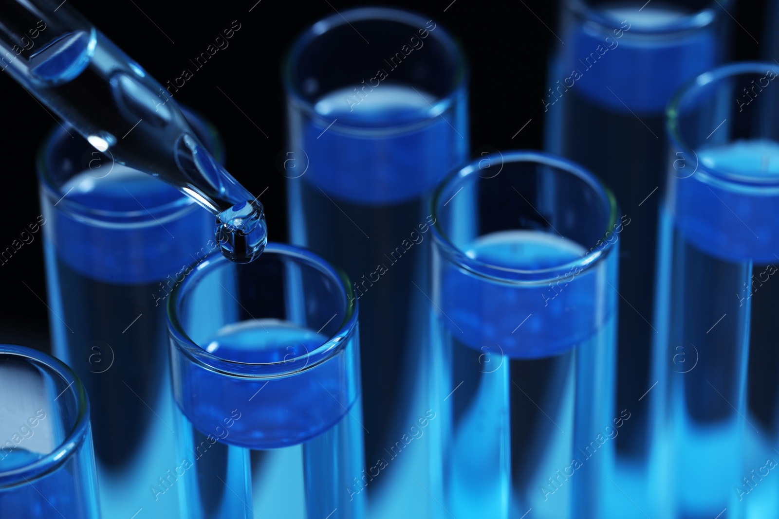 Photo of Dripping reagent into test tube with blue liquid on black background, closeup. Laboratory analysis