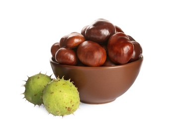 Horse chestnuts in bowl on white background