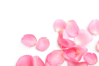 Photo of Fresh pink rose petals on white background, top view