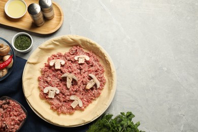 Flat lay composition with raw dough and ingredients on light grey table, space for text. Baking meat pie