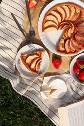 Photo of Blanket with different products on green grass, top view. Summer picnic