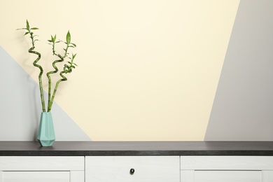 Vase with bamboo stems on cabinet against color wall, space for text
