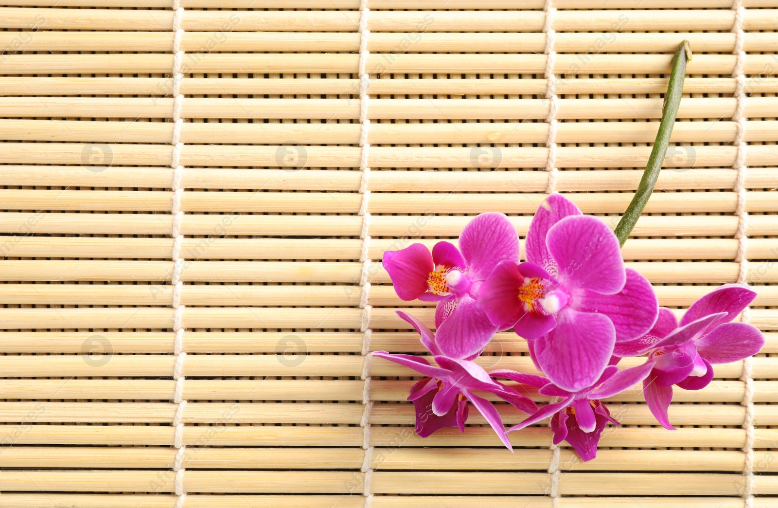 Photo of Top view of beautiful orchid flowers on bamboo mat, space for text