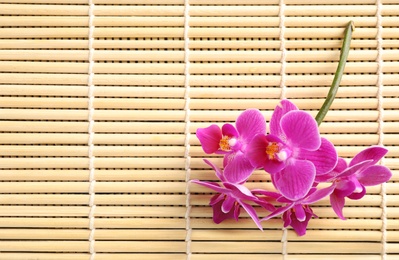Photo of Top view of beautiful orchid flowers on bamboo mat, space for text
