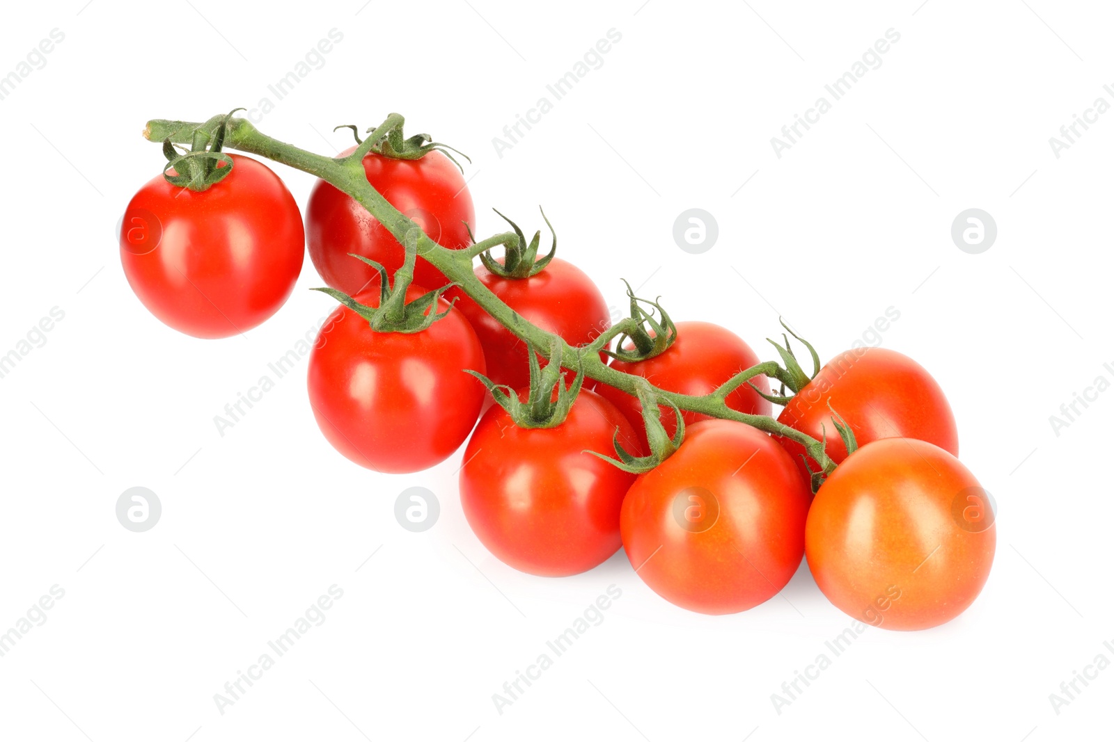Branch of red ripe cherry tomatoes isolated on white Photo of Branch of red ripe cherry tomatoes isolated on white
