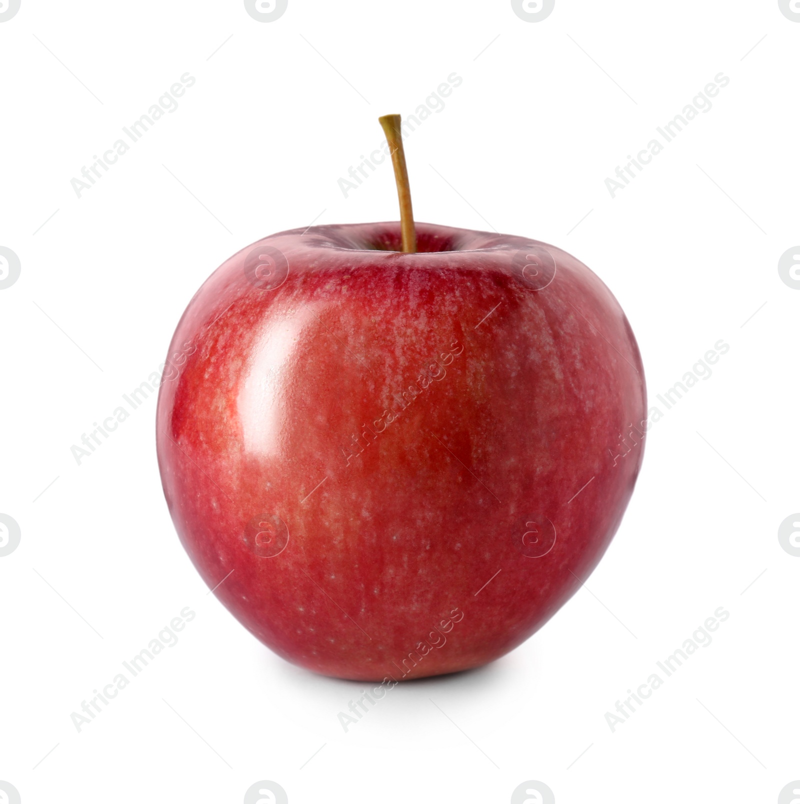 Photo of One ripe red apple isolated on white